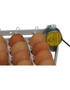 Bandeja para volteo automático de huevos