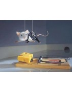 Trampas para ratones y ratas